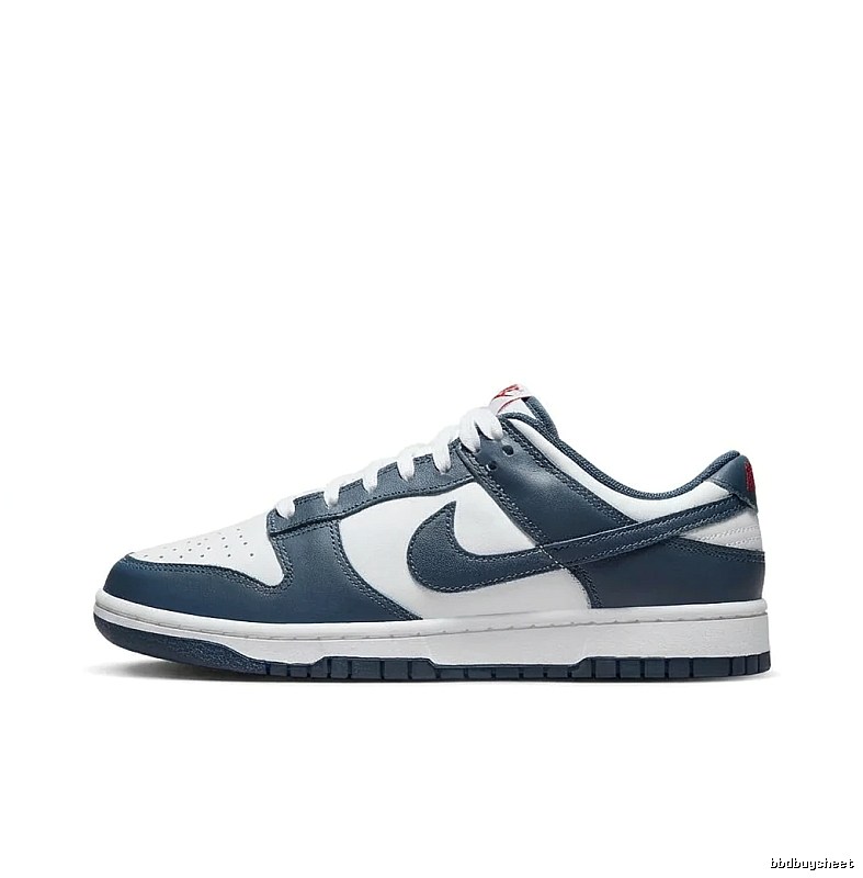 Nike Dunk Retro Style Blue and White Shoes