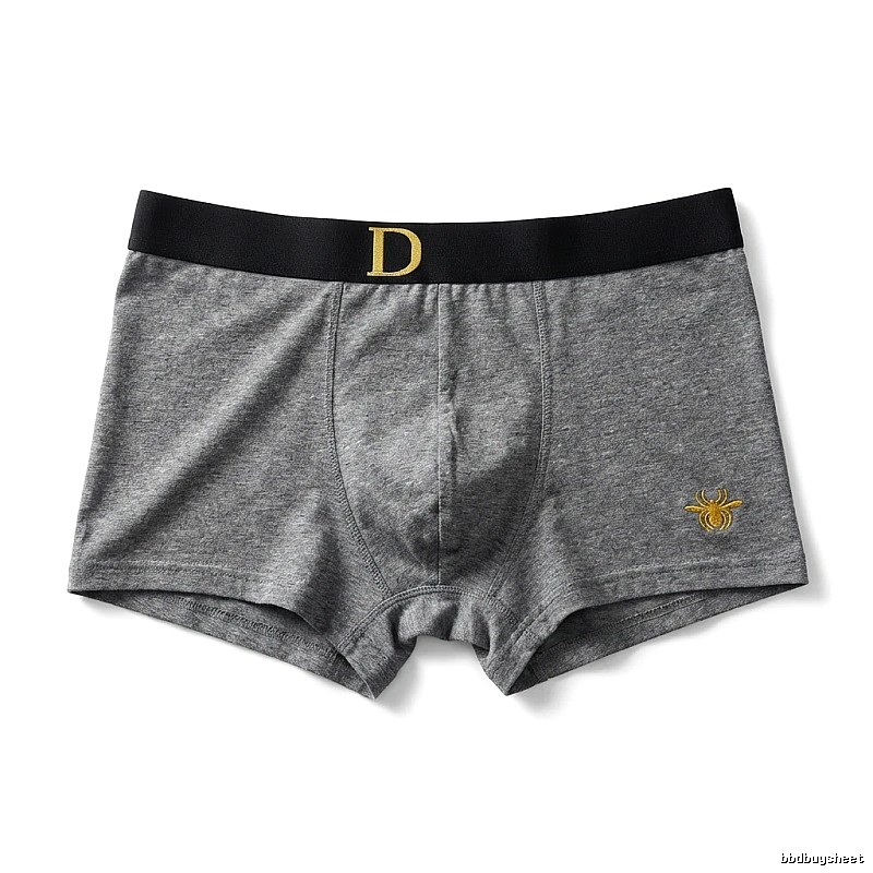 Dior minimalist style grey underwear
